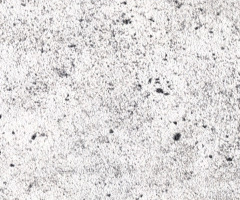 “水墨書香”——上海中國(guó)畫作品邀請(qǐng)展隆重開幕